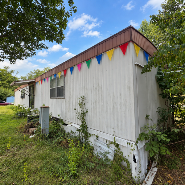 Photo 1 of 2 of home located at 52 Deerwood Park Centralia, IL 62801