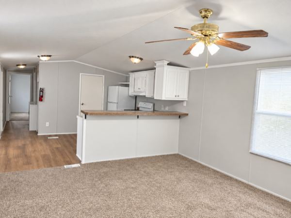 2006 Skyline Mobile Home