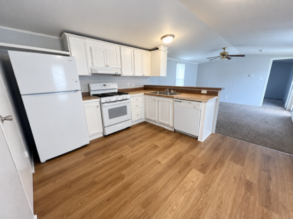 2006 Skyline Mobile Home