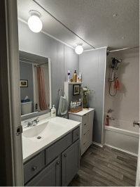 1969 New Moon Manufactured Home