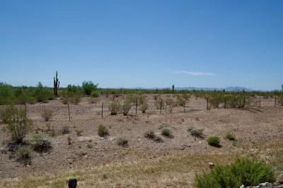 Photo 2 of 32 of home located at 7373 E. Us Hwy 60 #305 Gold Canyon, AZ 85118