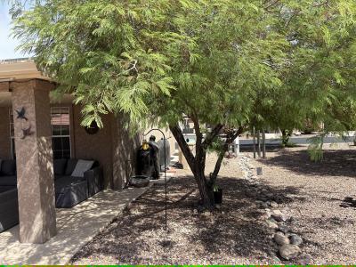 Photo 4 of 38 of home located at 7373 E. Us Hwy 60 #103 Gold Canyon, AZ 85118
