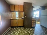 1977 Mobile Home