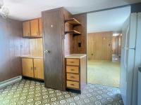 1977 Mobile Home