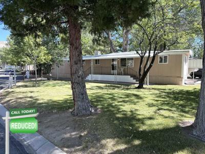 Mobile Home at 40 Shady Tree Ln Carson City, NV 89706