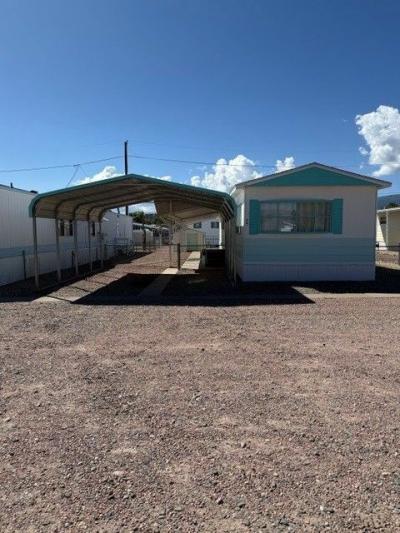Mobile Home at 1625 Chestnut Street Lot 24 Ca'on City, CO 81212