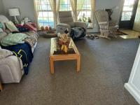 1994 Mobile Home