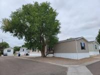 2019 Skyline Pine Mobile Home