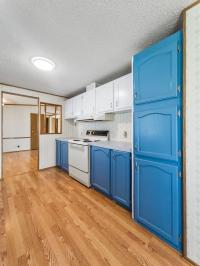 1991 Patriot Manufactured Home
