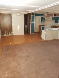 1982 Manufactured Home