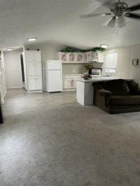 2000 Skyline Manufactured Home