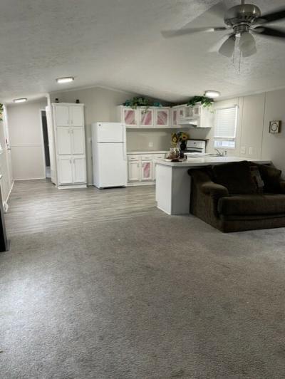 Photo 3 of 13 of home located at 22012 Castelle Dr #162 Romulus, MI 48174