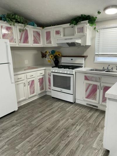 Photo 4 of 13 of home located at 22012 Castelle Dr #162 Romulus, MI 48174