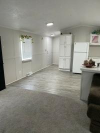 2000 Skyline Manufactured Home
