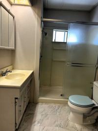 1972 Festival Mobile Home