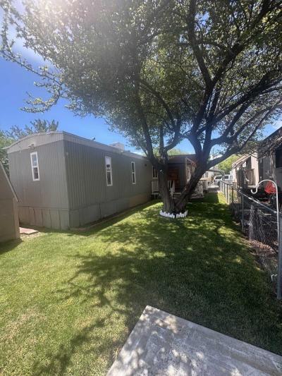 Photo 5 of 7 of home located at 315 Lucky Lane Reno, NV 89502