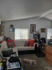 2002 Skyline Pineridge Mobile Home