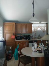2002 Skyline Pineridge Mobile Home