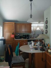 2002 Skyline Pineridge Mobile Home