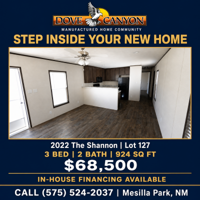 Mobile Home at 3815 S Main Street Mesilla Park, NM 88047