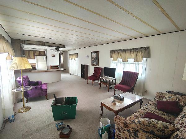 1980 Mobile Home
