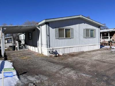 Mobile Home at 1205 S Maine St #49 Fallon, NV 89406
