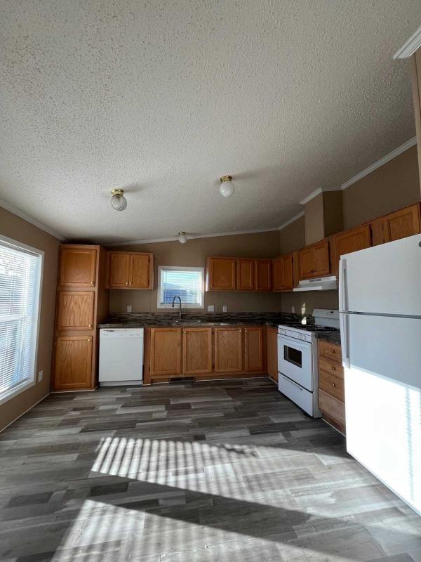 1999 Patriot Mobile Home For Sale