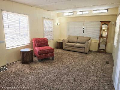 Photo 3 of 8 of home located at 929 N. Delaware Drive, Lot 22 Apache Junction, AZ 85120
