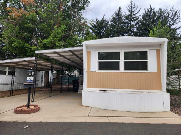 1969 MAGN Mobile Home For Sale