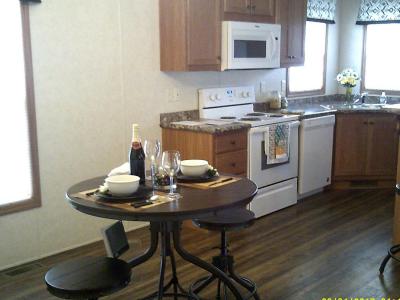 Mobile Home at 167 Royal Road Toronto, OH 43964