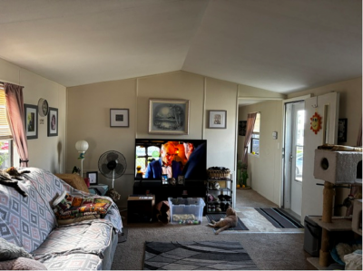 Photo 2 of 10 of home located at 43284 Bordeaux  Ave, #677 Sterling Heights, MI 48314