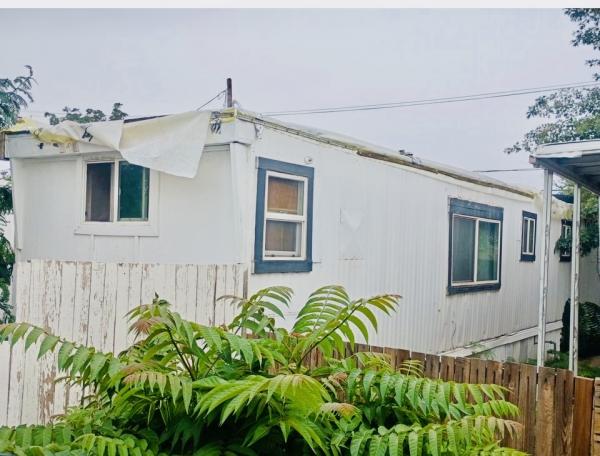1964 SKIM Mobile Home