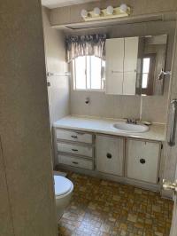 1978 Skyline Skyline Manufactured Home