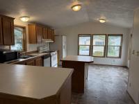 2002 Skyline Mobile Home