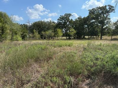 Photo 5 of 20 of home located at 5713 Duggan Lane North Zulch, TX 77872