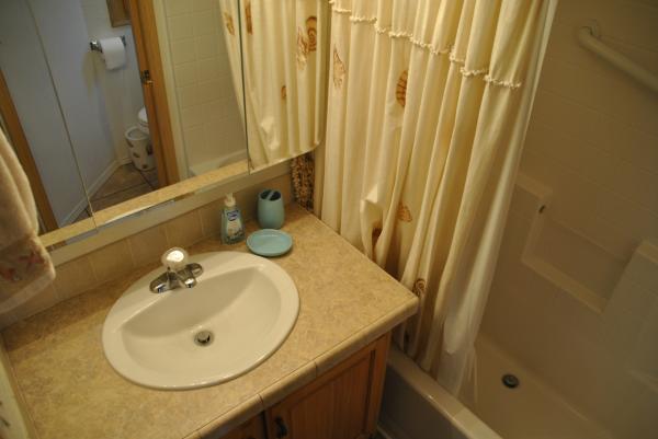 2009 Mobile Home