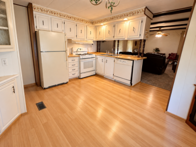 Mobile Home at 220 Pipers Lane Mount Morris, MI 48458