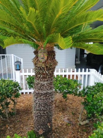Mobile Home at 3071 SW 106 Pl Ocala, FL 34476