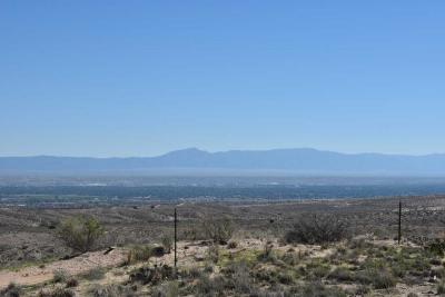 Photo 3 of 33 of home located at 224 Atrisco Vista Blvd. Space 38 Albuquerque, NM 87121