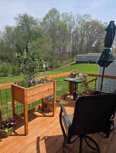 Photo 1 of 8 of home located at 16 Papadidit Lane Candler, NC 28715