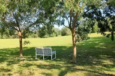 Photo 3 of 16 of home located at 5330 Martingale Ln Apopka, FL 32712