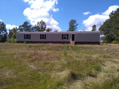 Mobile Home at 11361 Road 311 Union, MS 39365