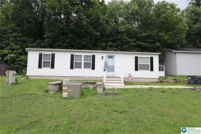 Photo 4 of 48 of home located at 1215 Blue Mountain Circle Saylorsburg, PA 18353