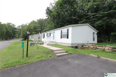 Photo 5 of 48 of home located at 1215 Blue Mountain Circle Saylorsburg, PA 18353
