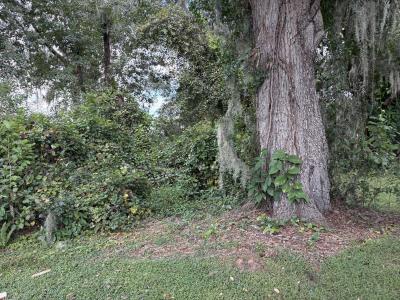 Photo 5 of 23 of home located at 4508 Lakeland Harbor Loop Lakeland, FL 33805