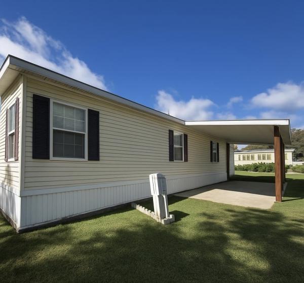 2010 Mobile Home