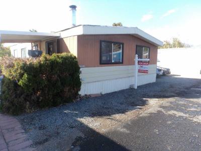 Photo 1 of 22 of home located at 3250 Airport Road #21 Carson City, NV 89701