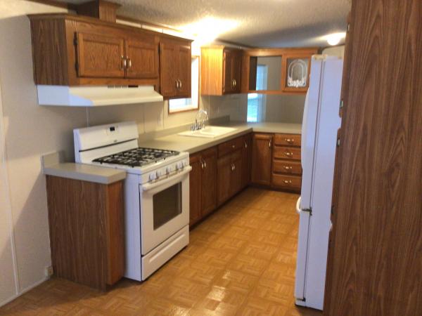 1995 Lakepointe Mobile Home