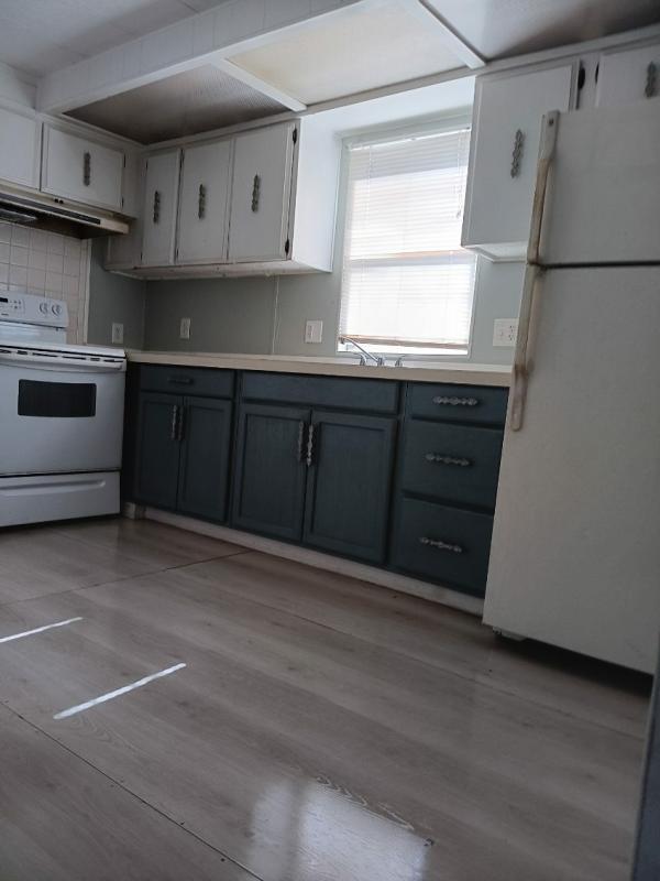 1980 Broadmoor Mobile Home For Sale