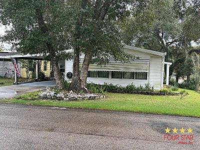 Mobile Home at 624 Orange Tree Dr Orange City, FL 32763